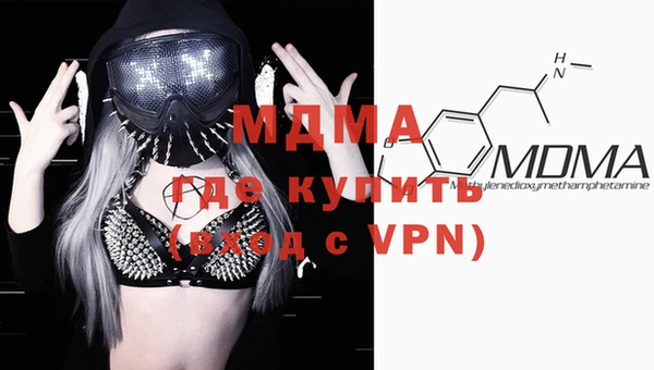 гашик Гусь-Хрустальный