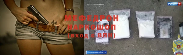 гашик Гусь-Хрустальный