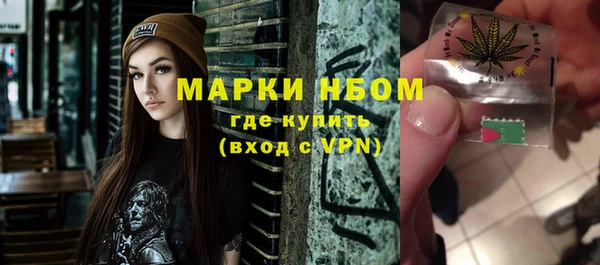 гашик Гусь-Хрустальный