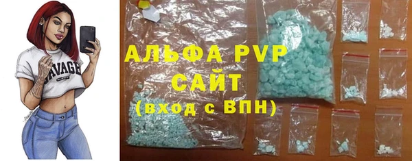 гашик Гусь-Хрустальный