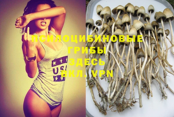 первитин Гусиноозёрск