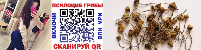 Галлюциногенные грибы MAGIC MUSHROOMS  Купить  Кировград 